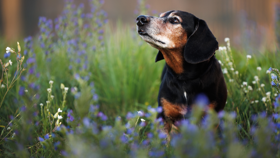 Daily Holistic Habits that make a Big Difference