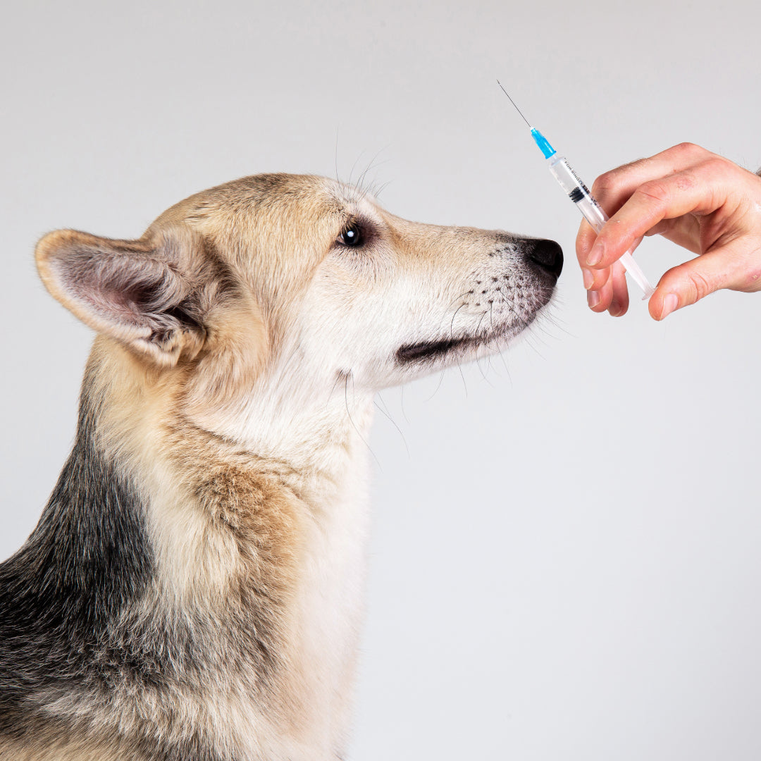 TITRE TEST - WHAT IT IS AND WHY IT MATTERS