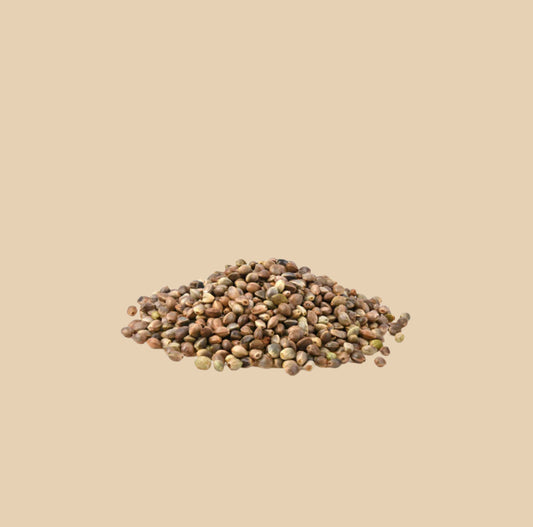 Hemp Seeds 100g