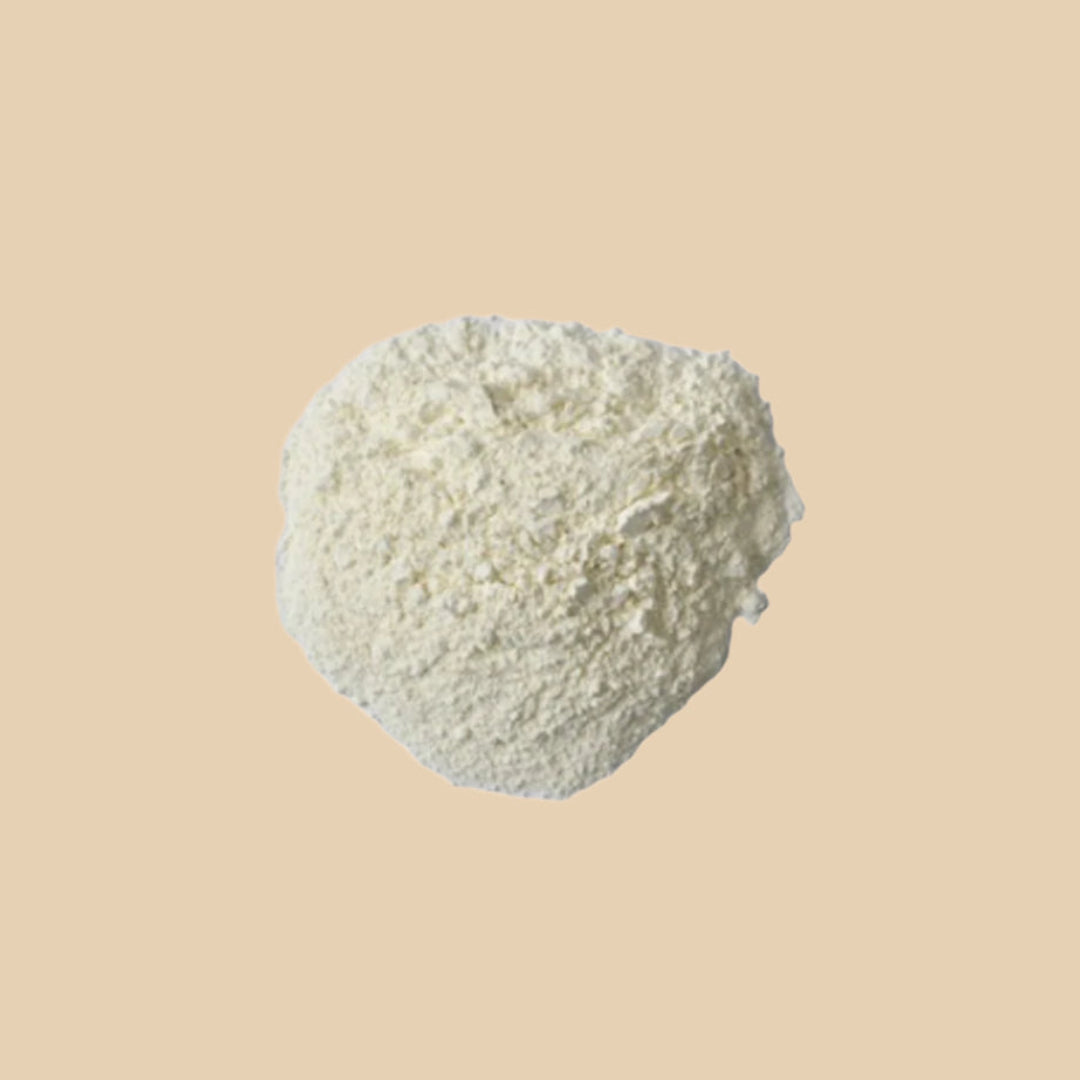 Shark Cartilage Powder 100g