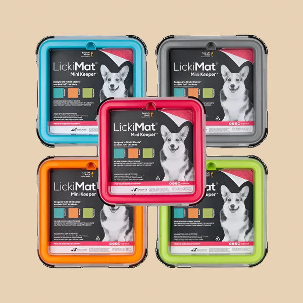 LickiMat - Mini Keeper