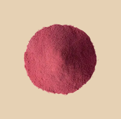Blueberry Juice Powder 100g