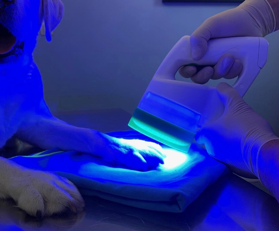 LED Light Therapy - What makes it different?