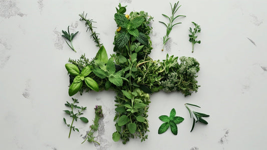 Herbs Every Pet Parent Should Know About