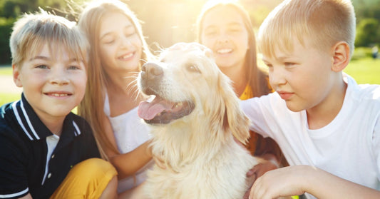 Supporting Pets as Kids Go Back to School