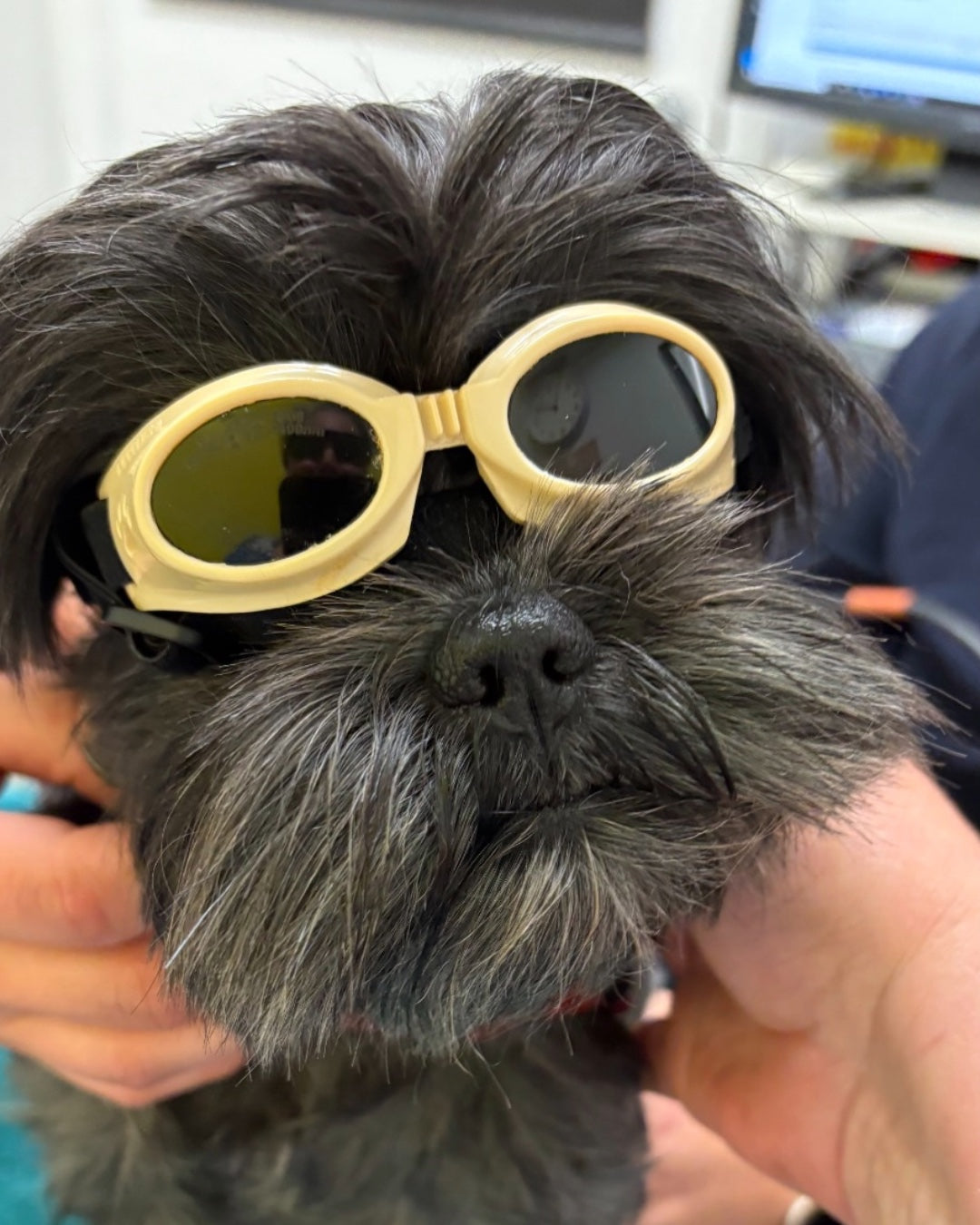 LASER THERAPY BENEFITS FOR ARTHRITIC CHANGES