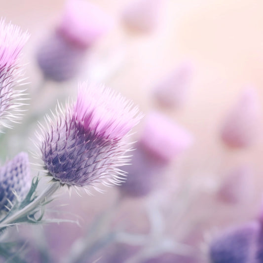 HOLISTIC INTEGRATION - WESTERN AND EASTERN APPROACHES TO SUPPORTING PETS WITH DIABETES