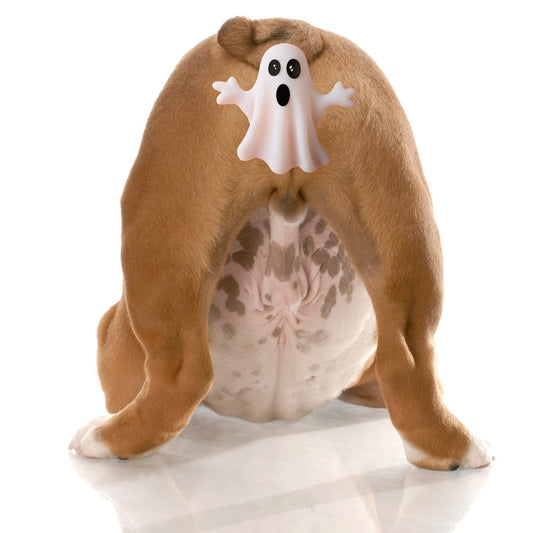 THE GHASTLY TRUTH ABOUT ANAL GLANDS