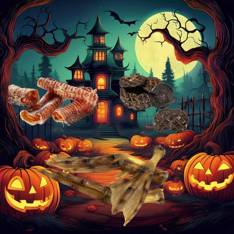Spooky Pet Treats