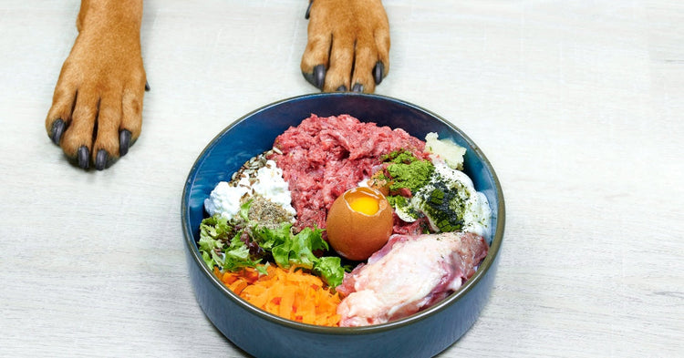 Start with the Bowl - Nutrition