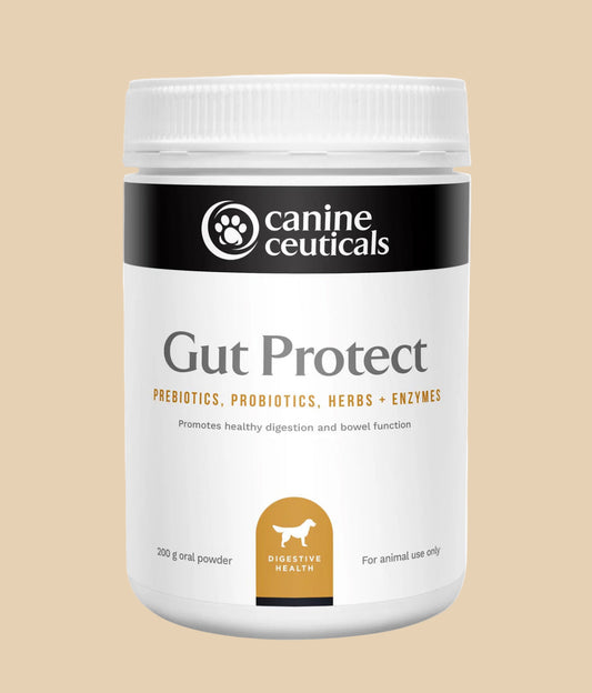 Canine Ceuticals Gut Protect 200g Powder