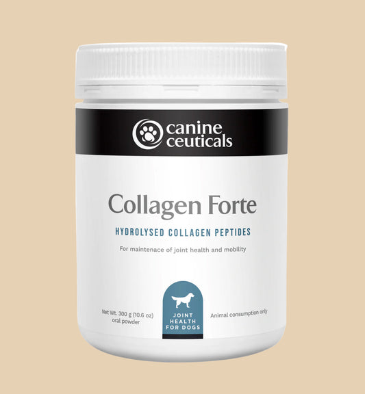 Canine Ceuticals Collagen Forte 300g