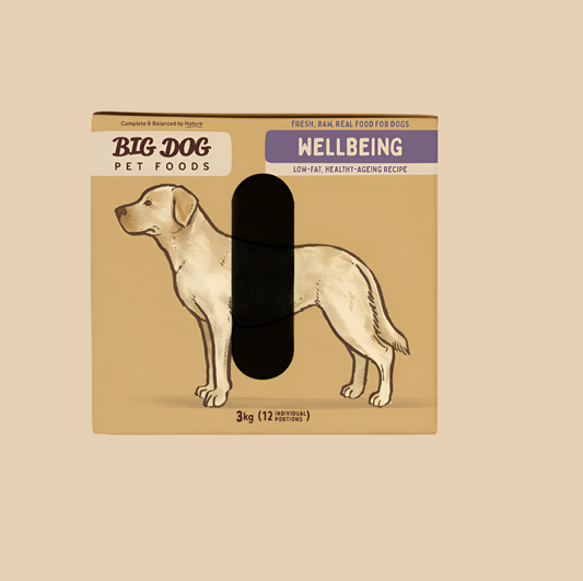 Big Dog Wellbeing 3kg