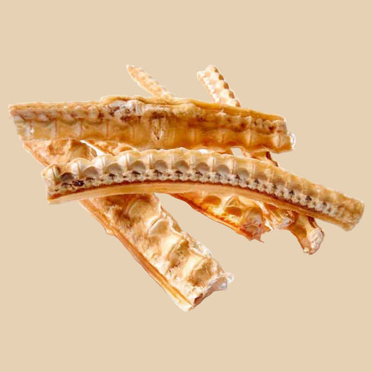 Shark Cartilage 100G