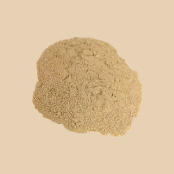 Green Lipped Mussel Powder 100g – Well Beings