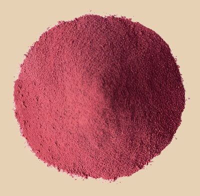 Blueberry Juice Powder 100g